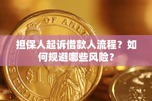 北京担保人起诉借款人流程？如何规避哪些风险？
